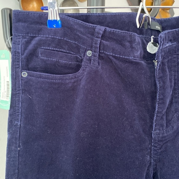 Host Pick 💙 Edyson Hampton Skinny Women’s Corduroy Pants Stitch Fix 33 NWT - Picture 4 of 10